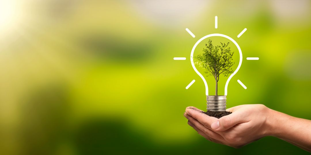 Stylized depiction of a tree in the palm of a hand.