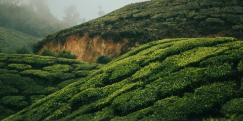 02 DE Alternative Text